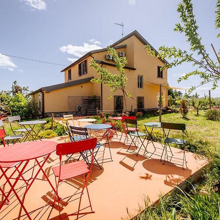Agriturismo Bio Podere 109 - Wine&Food Alberese Exterior foto